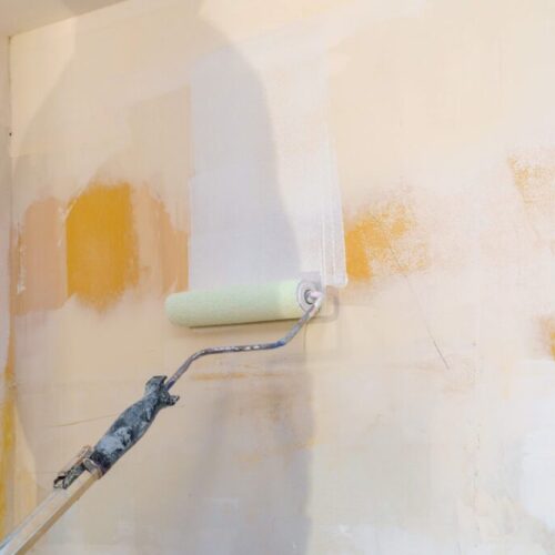 rear-view-painter-man-painting-the-walls-with-pain-2025-03-27-06-11-06-utc rear-view-painter-man-painting-the-walls-with-pain-2025-03-27-06-11-06-utc